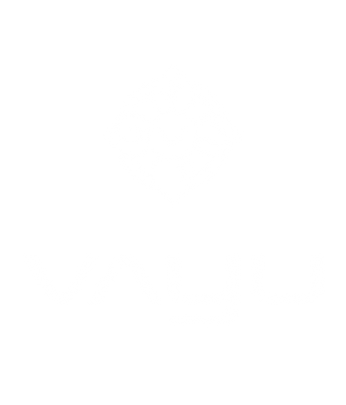 VAYU