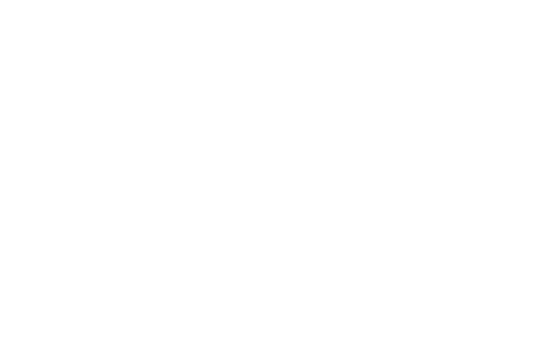 VAYU